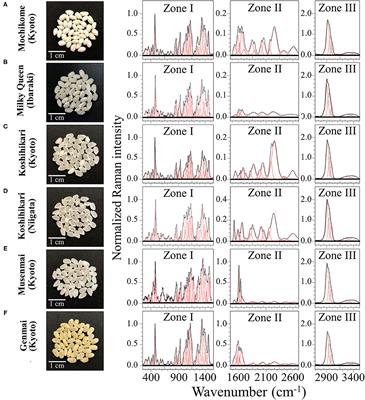 Raman Molecular Fingerprints of Rice Nutritional Quality and the Concept of Raman Barcode